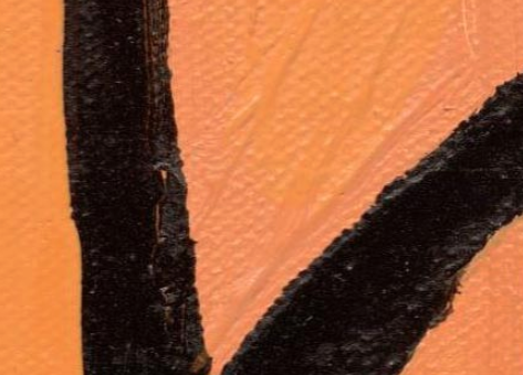 掃描效果展示 1